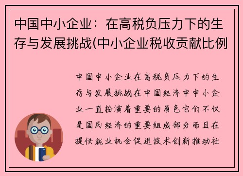 中国中小企业：在高税负压力下的生存与发展挑战(中小企业税收贡献比例)