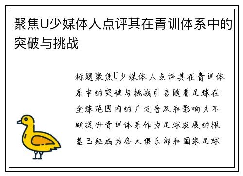 聚焦U少媒体人点评其在青训体系中的突破与挑战