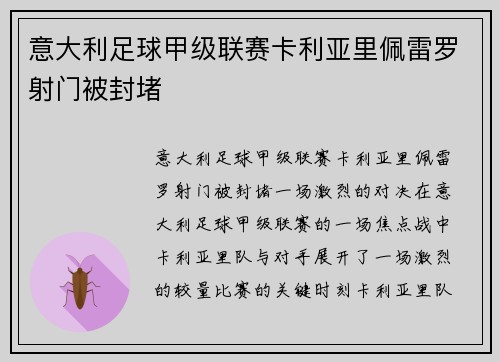 意大利足球甲级联赛卡利亚里佩雷罗射门被封堵